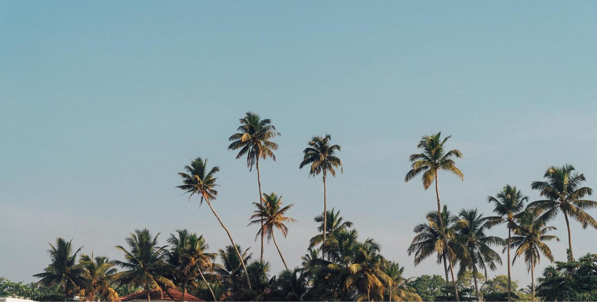 Bed and Breakfast Lucky'S Surf Camp Weligama Exterior foto
