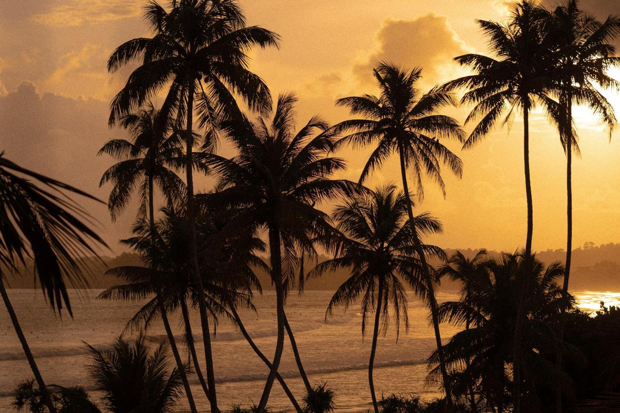 Bed and Breakfast Lucky'S Surf Camp Weligama Exterior foto